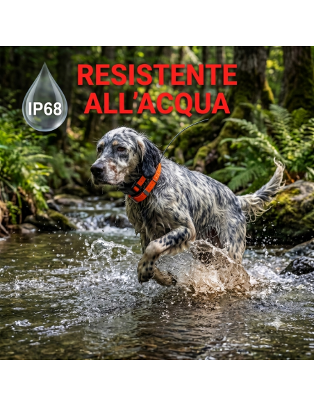 GPS Wild-PRO Beretti Ascolto abbaio
