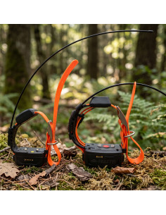 GPS Wild-PRO Beretti® con collare mini 2