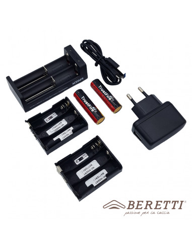 Kit 3: batteria al litio e caricabatterie