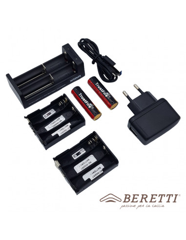 KIT 3: lithium battery and charger