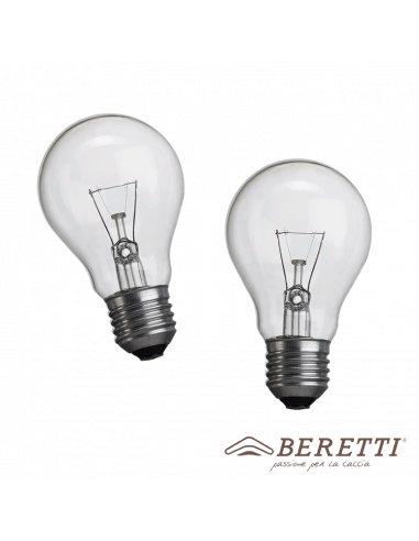 2 pieces kit -Incandescent bulb E27