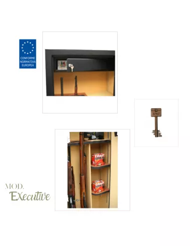 CASSAFORTE EXECUTIVE CLTT18 particolari