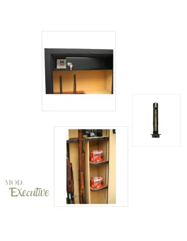 Detalles de la caja fuerte EXECUTIVE CLTT23