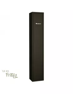 CASSAFORTE FORTIFY DELTA 4 aperta 2