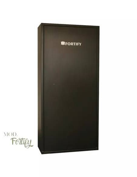 CASSAFORTE FORTIFY DELTA12