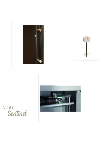 CASSAFORTE INFAC SENTINEL S5 particolari