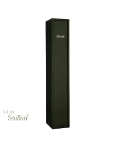 CASSAFORTE INFAC SENTINEL S5 2