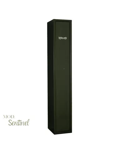 Сейф INFAC Sentinel S5