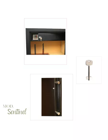 CASSAFORTE INFAC SENTINEL SD5 particolari