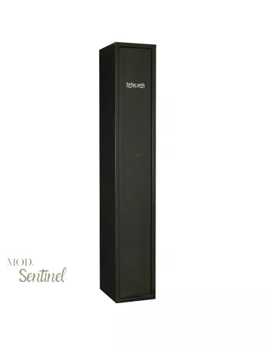 БЕЗОПАСНЫЙ СЕЙФ INFAC ENTINEL SD5