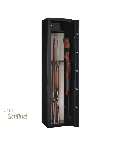 Caja fuerte INFAC SENTINEL SD7 abierta