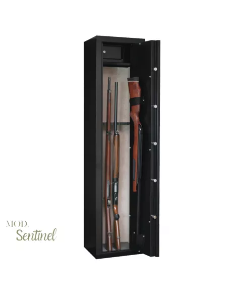 Caja fuerte INFAC SENTINEL SD7 abierta