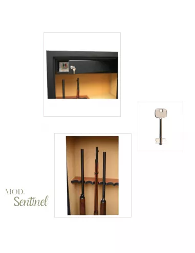 Detalles de la caja fuerte INFAC SENTINEL SD7