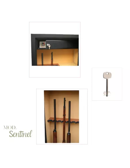 Detalles de la caja fuerte INFAC SENTINEL SD7