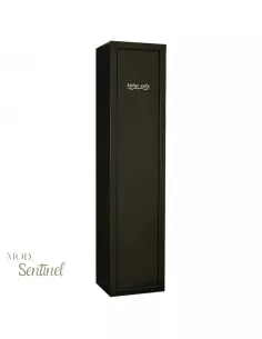 CASSAFORTE INFAC SENTINEL SD7 aperta 2