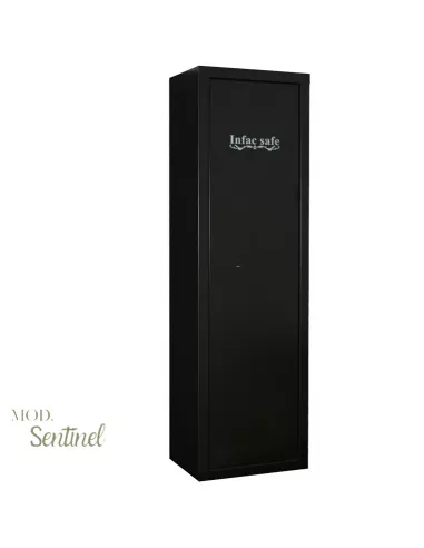 БЕЗОПАСНЫЙ СЕЙФ INFAC STENTINEL SD10