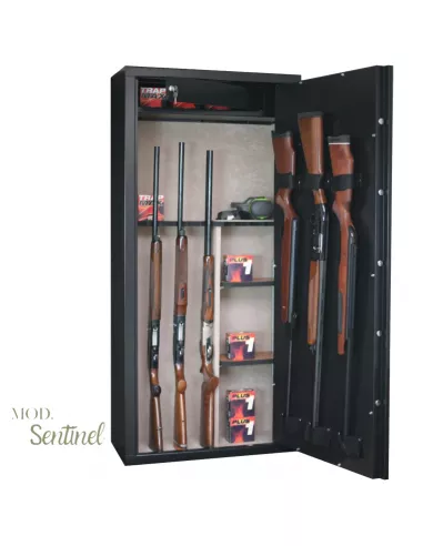 Caja fuerte INFAC SENTINEL SD14 abierta