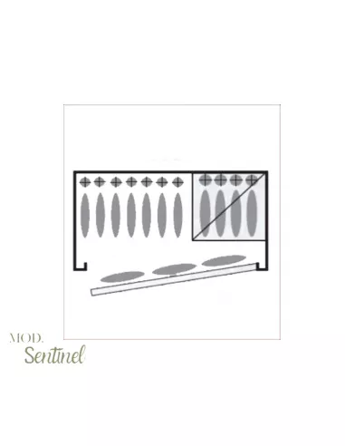 copy of CASSAFORTE INFAC SENTINEL SD10