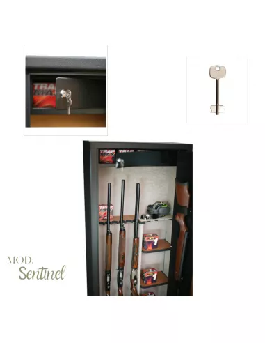 Detalles de la caja fuerte INFAC SENTINEL SD14