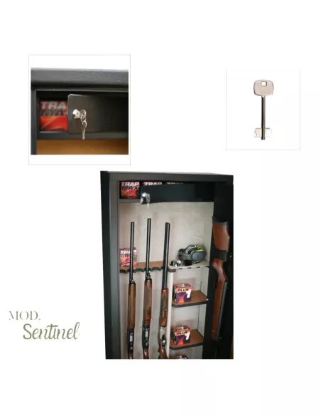 Detalles de la caja fuerte INFAC SENTINEL SD14