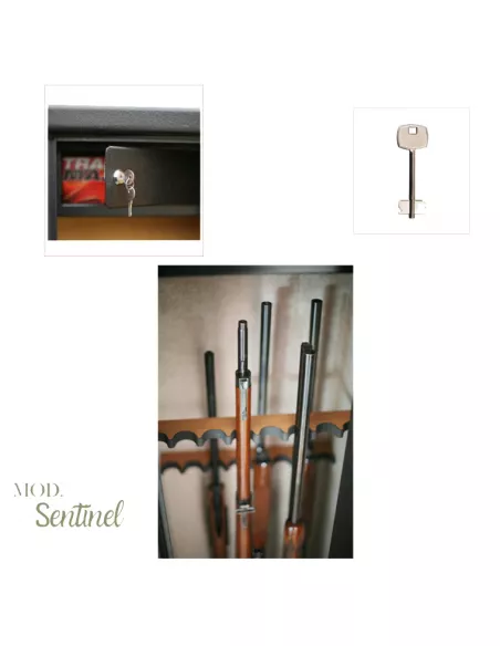 Detalles de la caja fuerte INFAC SENTINEL SD16