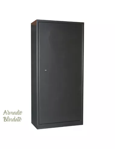 ARMARIO DE SEGURIDAD C20S