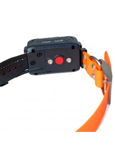 Collare aggiuntivo Wild-PRO Beretti 2