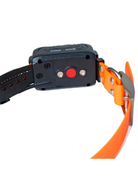 Collare particolare Wild-PRO Beretti