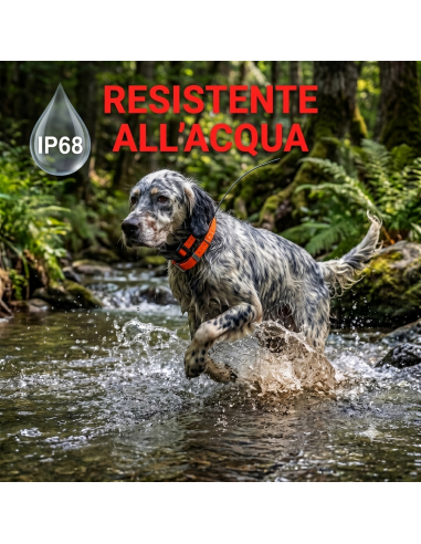 GPS collar Wild-PRO Beretti®