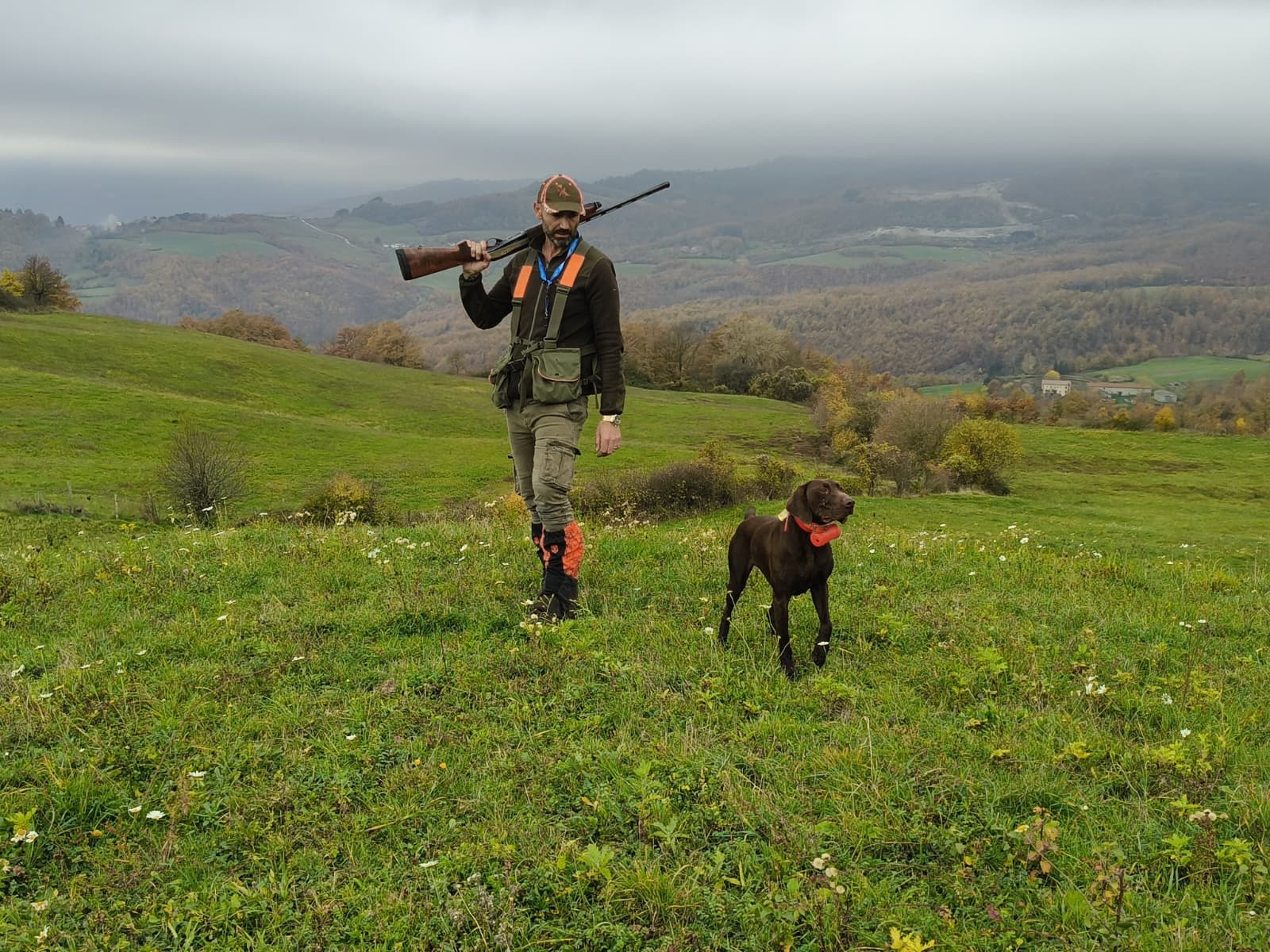 Sfondo montagna con cani