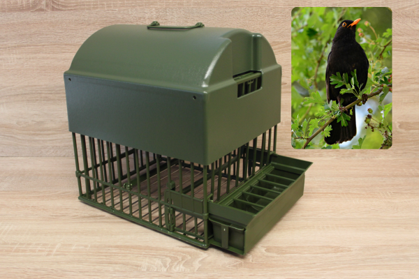 18. Tetto da merlo per gabbia Beretti