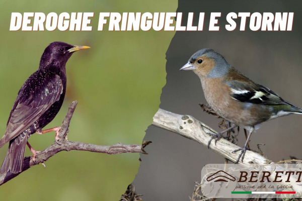 Deroghe  fringuelli e storni