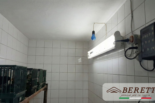 La saison de la chasse touche à sa fin : il est temps du changement pour les oiseaux appelants!