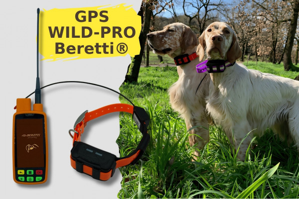 GPS Wild-PRO Beretti®, il localizzatore per cani da caccia che aspettavate