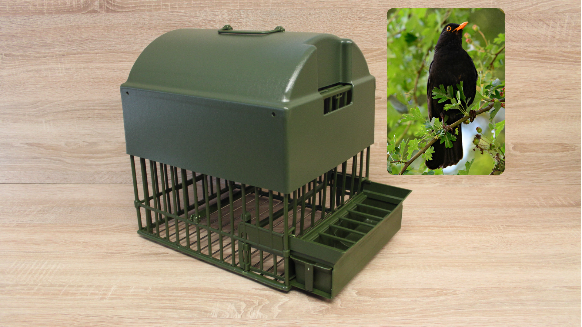 18. Tetto da merlo per gabbia Beretti