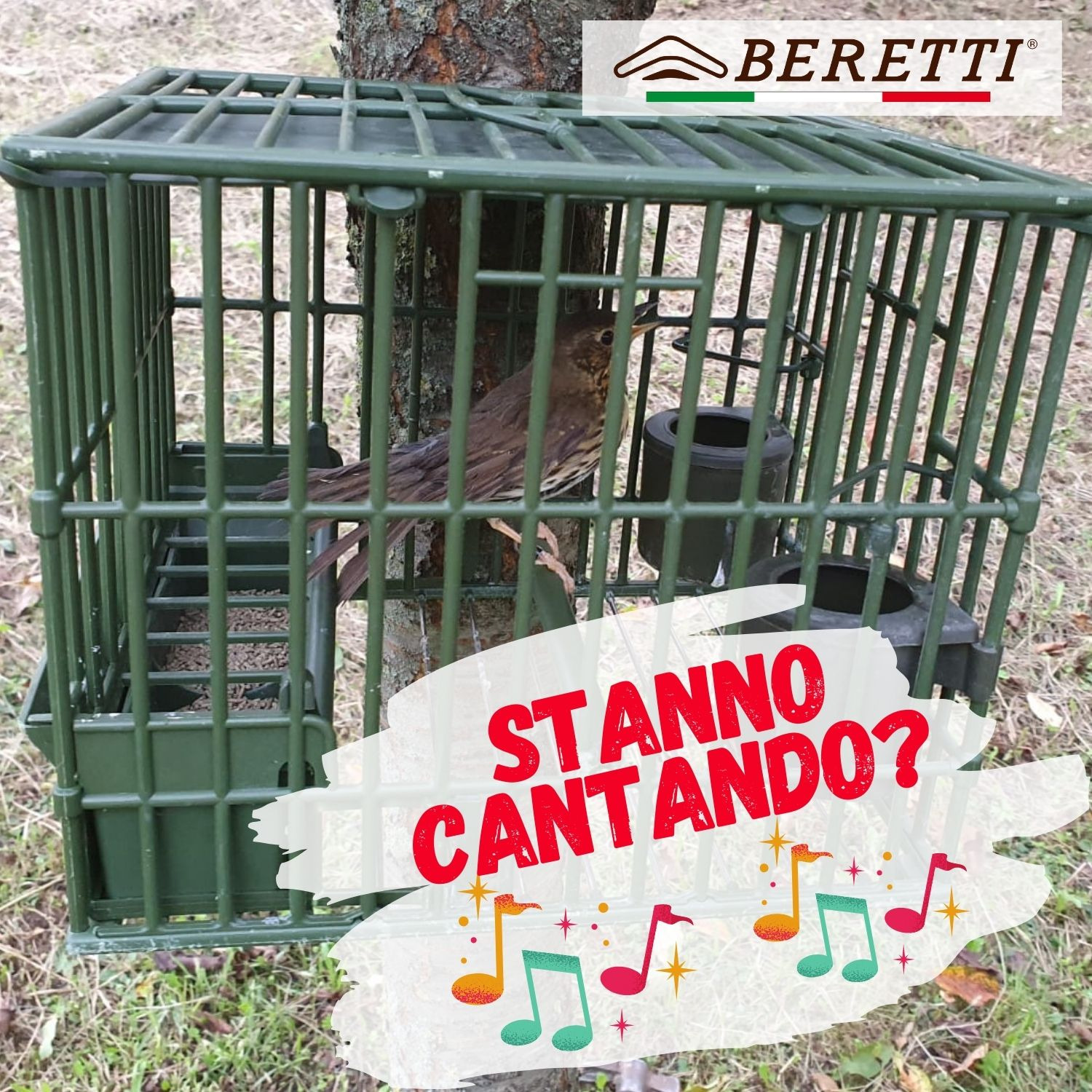 I TUOI UCCELLI DA RICHIAMO STANNO GIA’ CANTANDO?