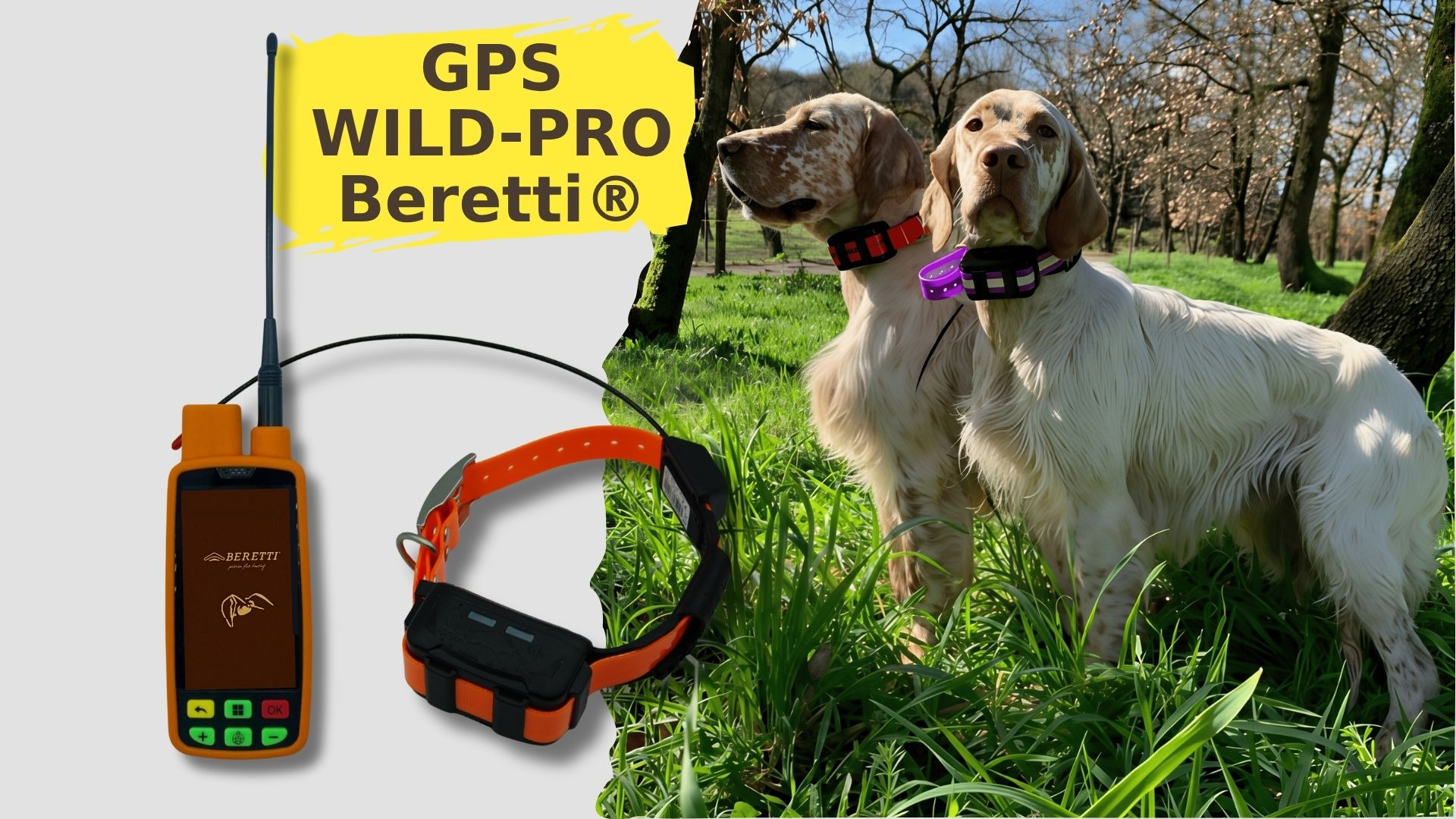 GPS Wild-PRO Beretti®, il localizzatore per cani da caccia che aspettavate