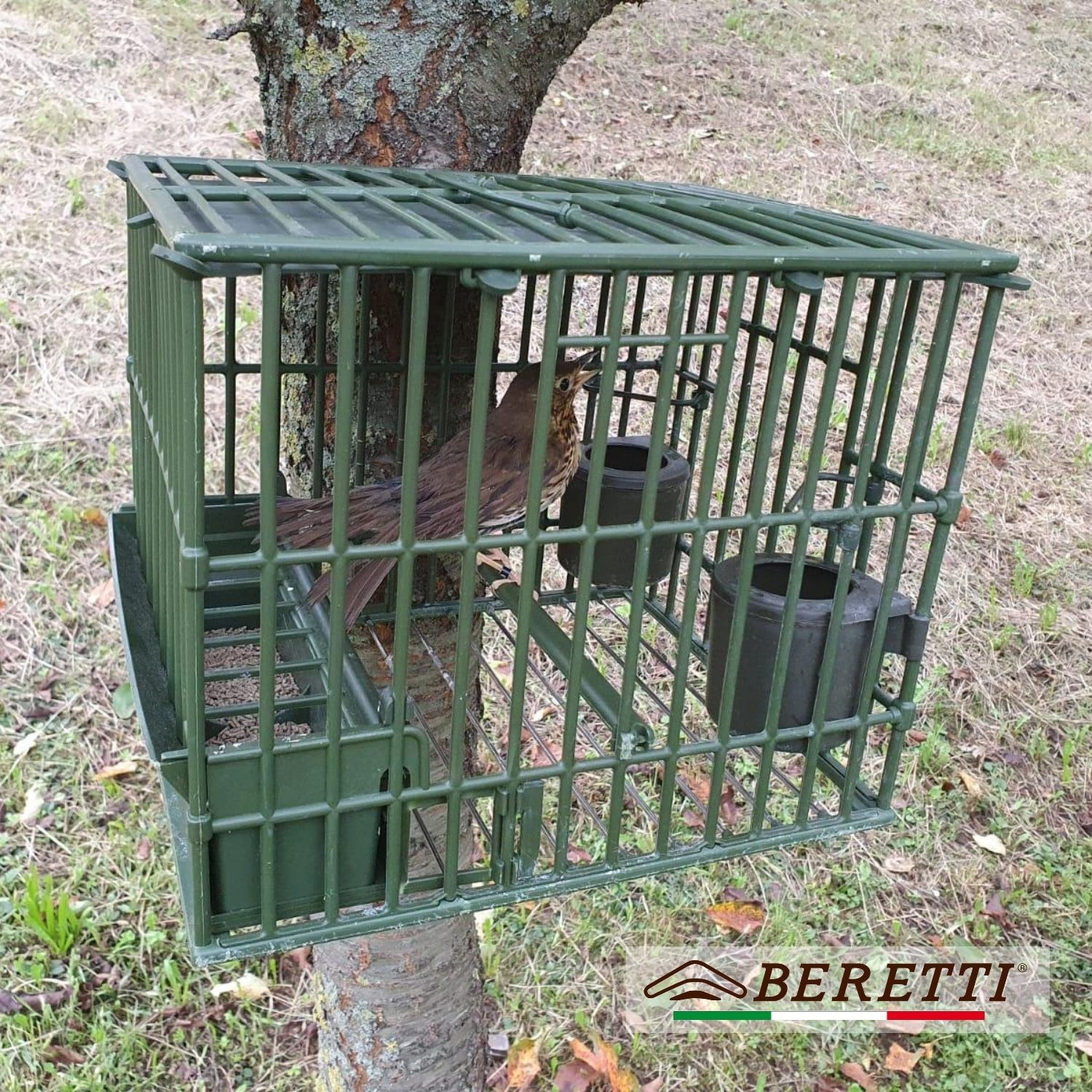 PORTA FUORI I TUOI UCCELLI DA RICHIAMO