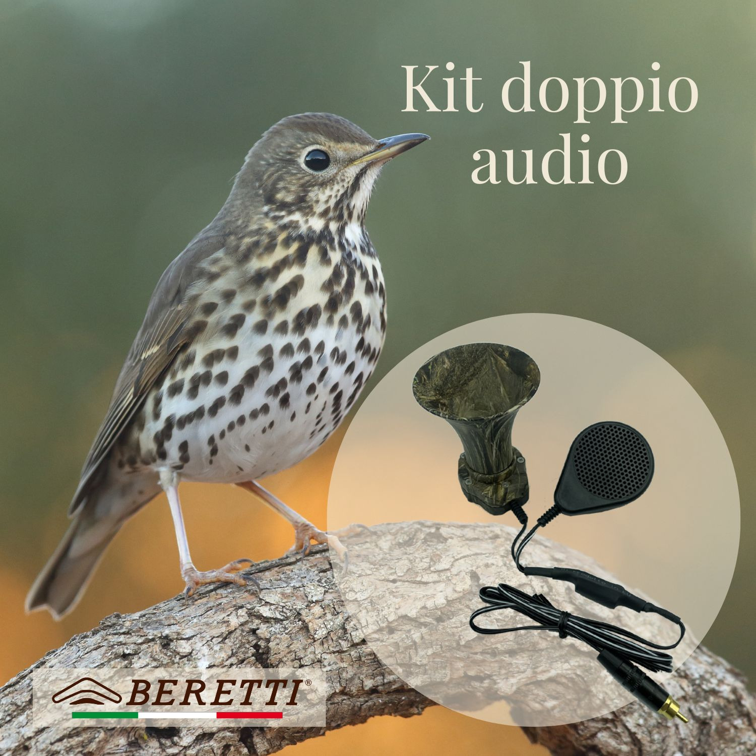 Kit doppio audio, l'ideale per i tordi